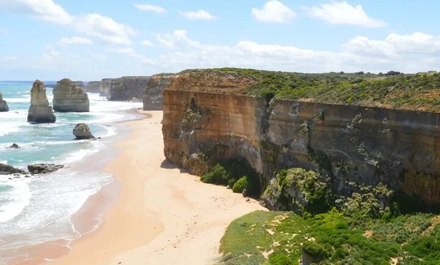 Image 13: Great Ocean Road 12 Apostles kangaroo & koala tour