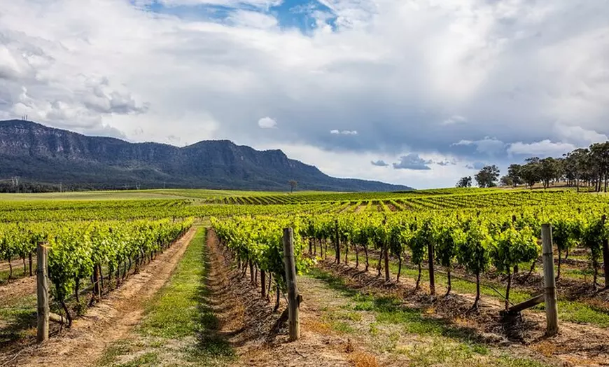 Image 8: Small-Group Hunter Valley Wine Tasting Tour from Sydney