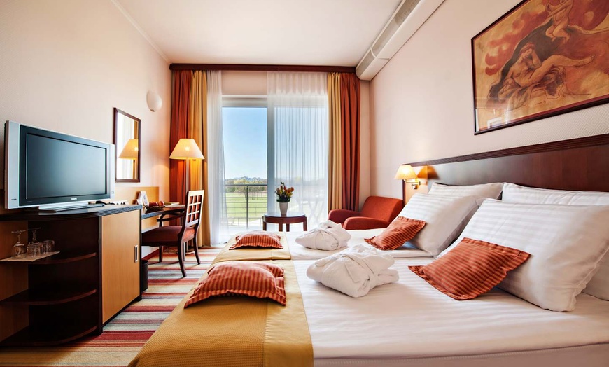 Image 2: ✈ SLOVÉNIE | Ptuj - Grand Hotel Primus 4* - City break