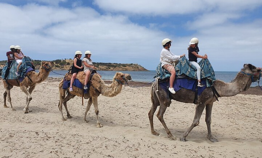 Image 4: Premium Victor Harbor, Port Elliot and d'Arenberg Minibus Tour