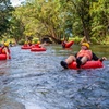 Image 8: Rainforest River Tubing from Cairns