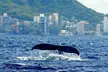 BYOB Sunset Cruise Waikiki - Second Medium