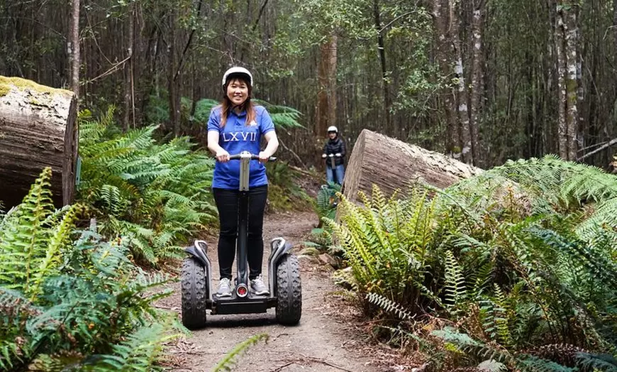 Image 1: Launceston: Hollybank Treetops Adventures - Segway Tour