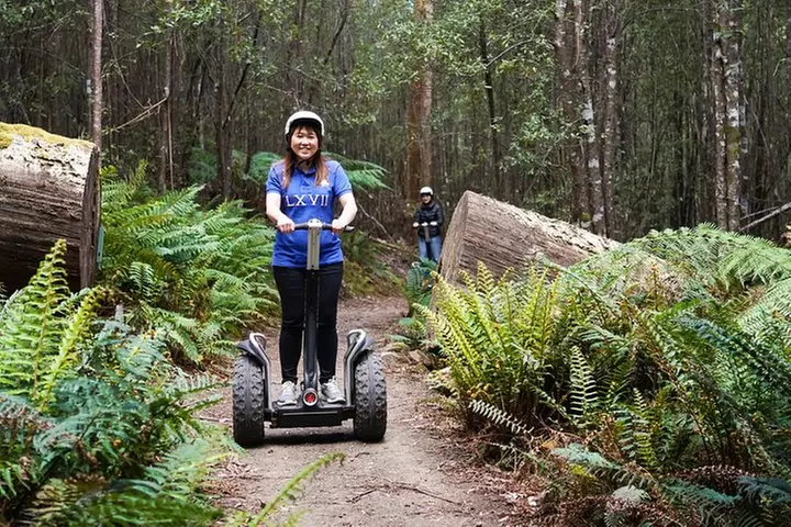 Launceston: Hollybank Treetops Adventures - Segway Tour - Primary Image