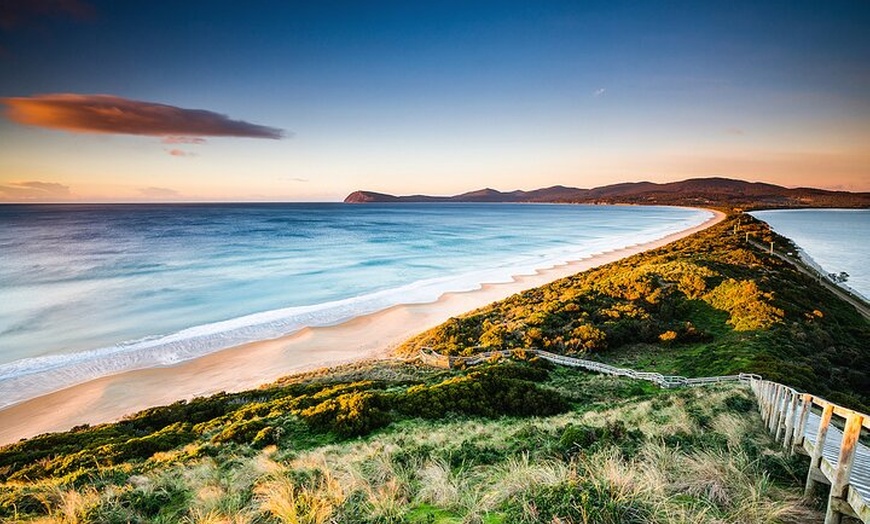 Image 11: 5 Day Island Icons Tassie Day Tour Bundle