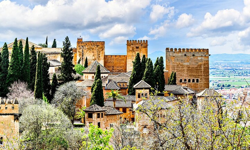 Image 13: Granada: visita guiada a la Alhambra, incluidos los palacios nazaríes