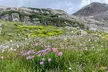 Private Colorado Backcountry 4x4 Off Road Adventure Tour - Second Medium