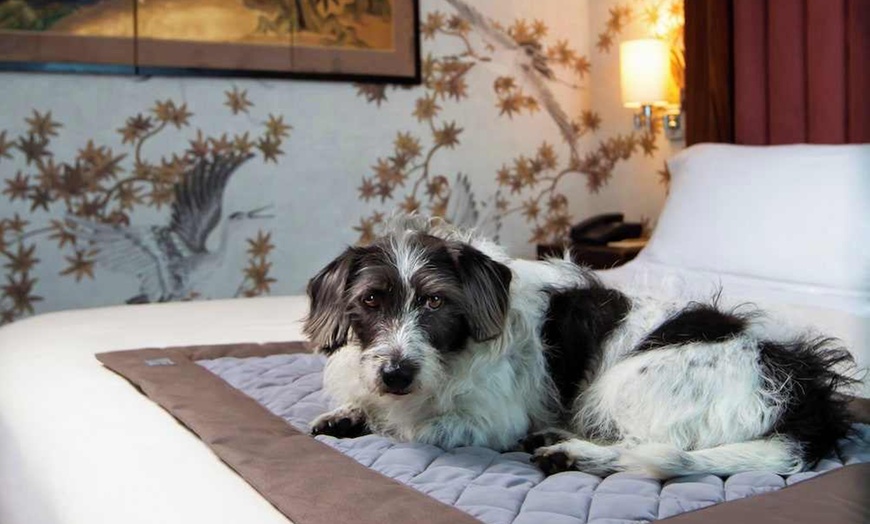 Image 40: ✈ ITALY | Milan - NPU Dutch Design Hotel Vondelpark 4*, 2 nights - ...