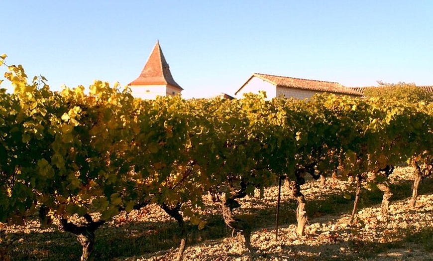 Image 5: Explorez Gaillac Wines Excursion privée d'une demi-journée au dépar...