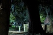 Interactive Paranormal Ghost Walking Tour in Savannah Georgia - Second Medium