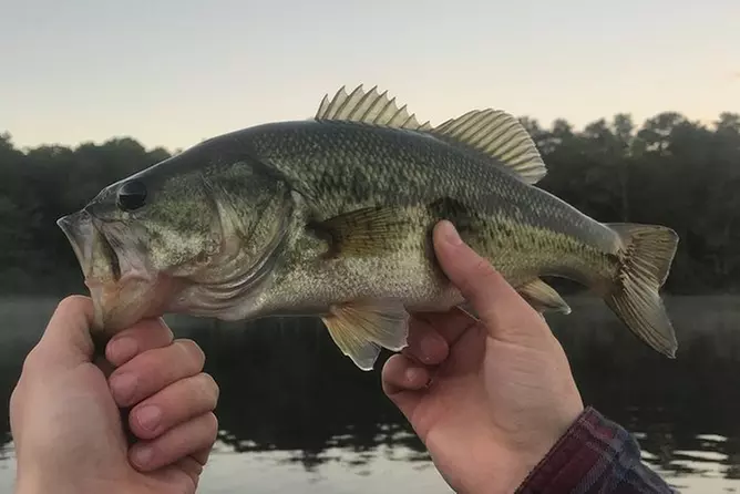 Freshwater Fishing Tour - Primary Image