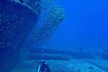 Certified Diver: 2-Tank Deep Wreck and Shallow Reef Dive Off Oahu - Second Medium