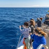Image 5: Dolphin Adventure : Avistamiento de Delfines en Barco Rápido en Mal...