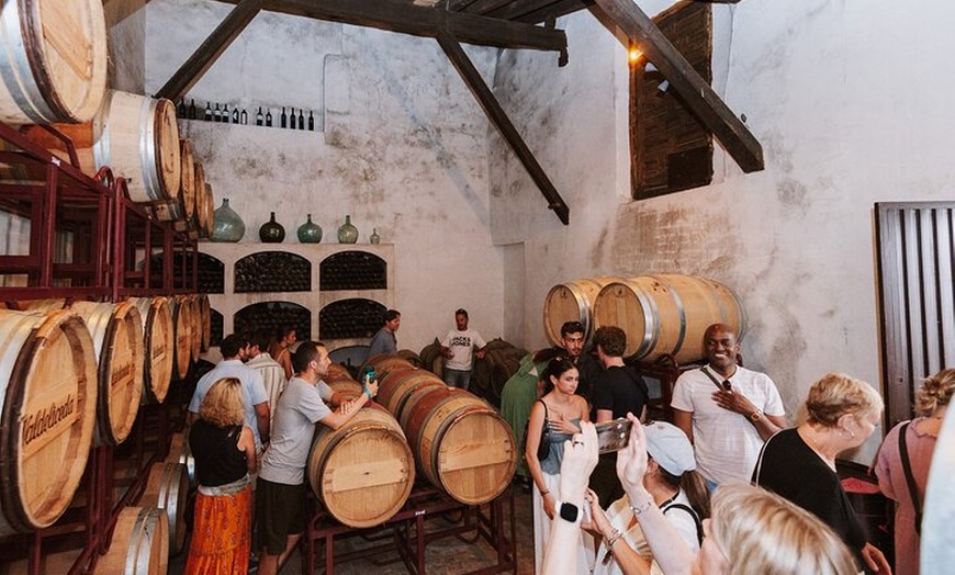 Image 23: Visita Guiada a Bodegas Rurales de Madrid con Cata de Vinos