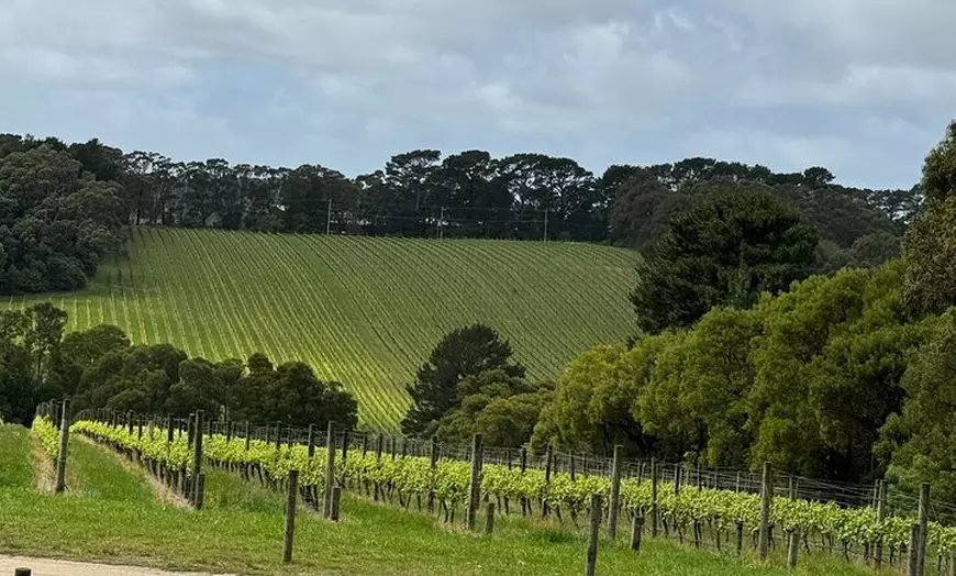 Image 3: Melbourne: Private Mornington Peninsula & Winery Tours.