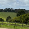 Image 3: Melbourne: Private Mornington Peninsula & Winery Tours.