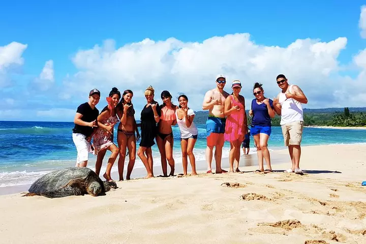 Local Expert Private Tours - Primary Image