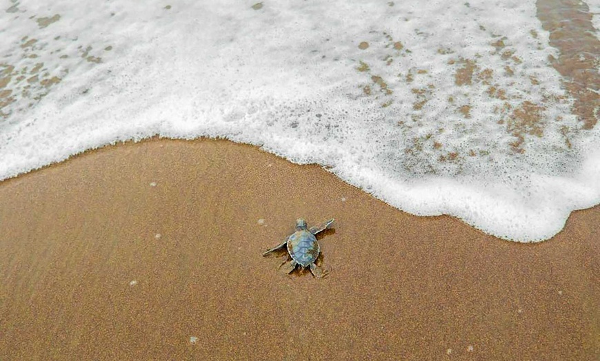Image 9: ✈ COSTA RICA | San José - Il Costa Rica a basso costo 3*, 12 notti ...