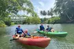 Explore Luquillo by Kayak: Nature and Adventure in Mameyes River - Second Medium