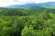 Mountaintop Zipline 2-Hours Activity - Second Medium