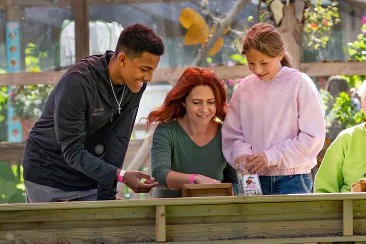 30-Minute Airboat Ride, Lunch, Gem Mining and Park Admission