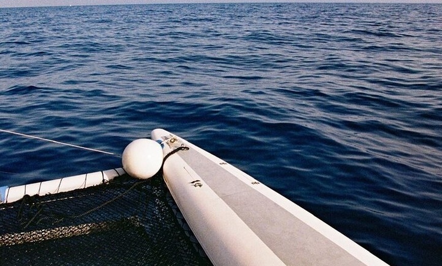 Image 26: Excursiones ecológicas en Catamarán en Gran Canaria