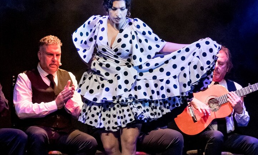 Image 5: Show Flamenco Auténtico en el Teatro Flamenco Granada