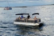 2 Hour Private Dolphin and Sightseeing Tour Shell Island - Second Medium
