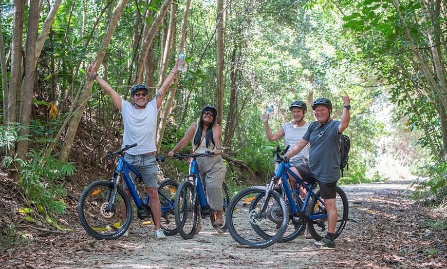 Image 6: E bike Rail Trail and Husk Distillery Lunch Gold Coast and Byron