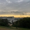 Image 9: Sydney: Golden Hour City Escape with Sunset, Picnic and Photos