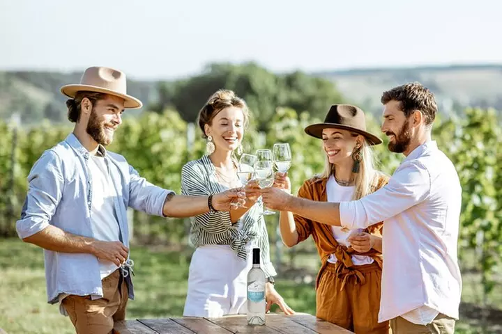 Okanagan Bee Tour and Lunch at Winery in Kelowna - Primary Image