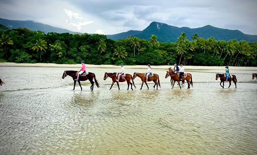 Image 8: Mid-Morning Beach Horse Ride in Cape Tribulation