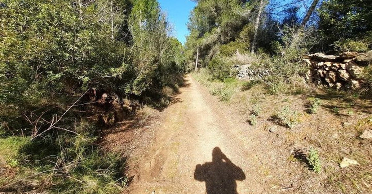 Bicicleta eléctrica para descubrir St. Gertrudis desde Mallorca