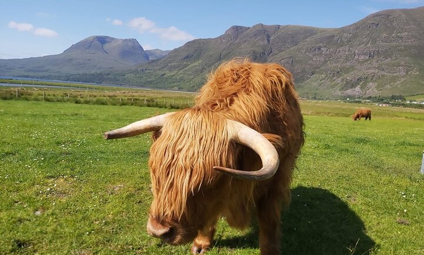 Image 2: Outlander - Privately Guided Tour in Luxury Mercedes from Glasgow