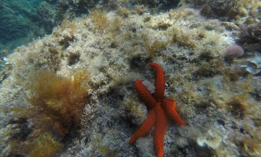 Image 12: Excursión Kayak & Snorkel / Sant Feliu de Guíxols - Costa Brava