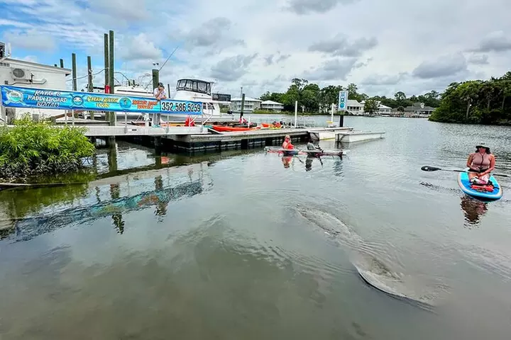 Clear Kayak Manatee Ecotour of Crystal River