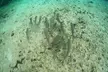 Discover Crystal River's Secrets with Private Boat Tour - Second Medium