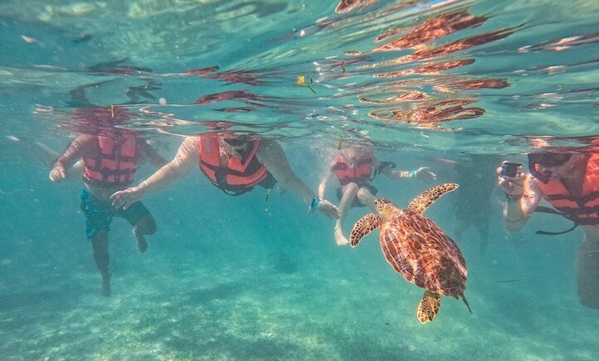 Image 27: Tulum Ruins, Sea Turtles & Cenote Swim Adventure Tour