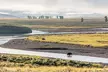 Lamar Valley Wildlife Watching - Second Medium