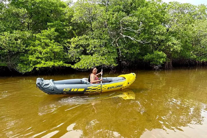 Fort Lauderdale: Kayak/SUP on Mangroves w/ Snacks & Drinks