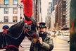 Central Park Horse Carriage Ride Short Loop (Up to 4 Adults)) - Second Medium