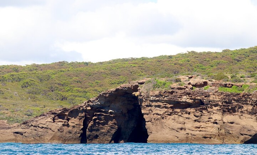 Image 11: Ocean Explorer Tour from Lake Macquarie