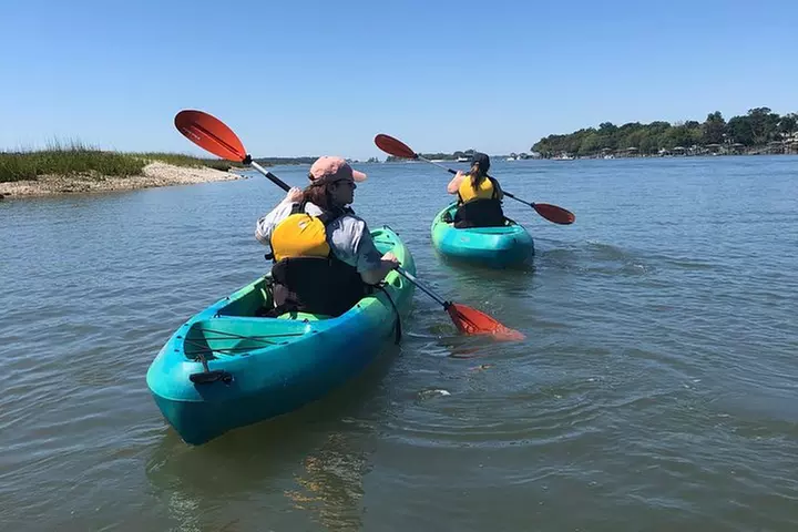 Hilton Head Guided Kayak Eco Tour