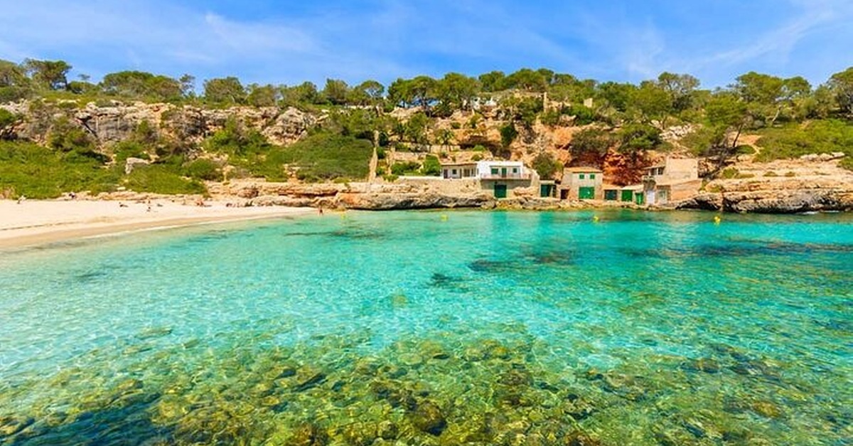 Experiencia de SUP y snorkel en las playas de Mallorca