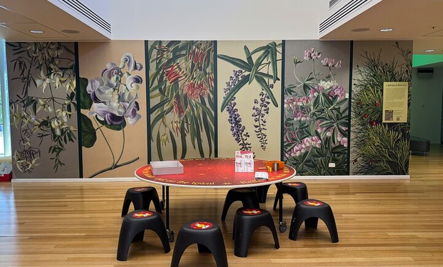 Image 9: Adelaide City Tour: Top Places to Visit, Mt Lofty & Hidden Gems