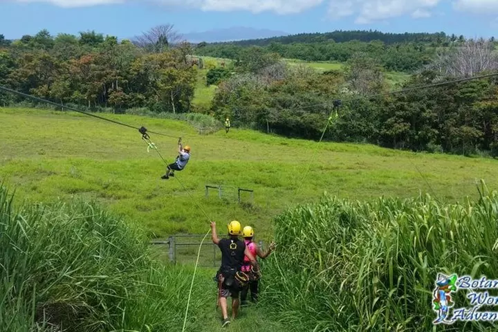 Big Island: 8-Zipline & Suspension Bridge Waterfall Adventure