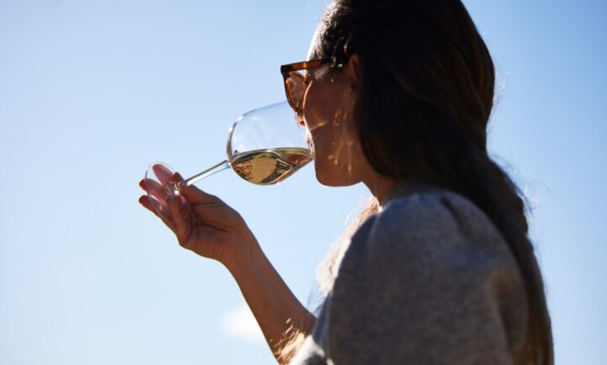 Image 5: Wine Tasting Experience at Every Man and His Dog Vineyard