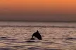 Scenic Sunset Cruise from Historic Johns Pass, Free Beer and Wine - Second Medium