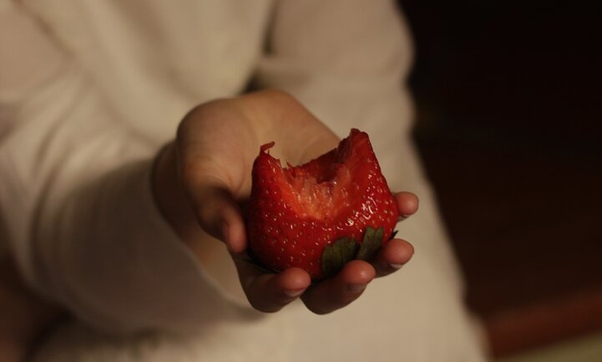 Image 13: Clase de cocina privada y tour por el mercado