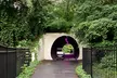 Magical Golf Cart Tour Through Peachtree City Trails - Second Medium